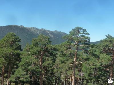 Pesquerías Reales-Valsaín,Río Eresma;sierra de cotos nudos montaña pueblo medieval madrid rutas 